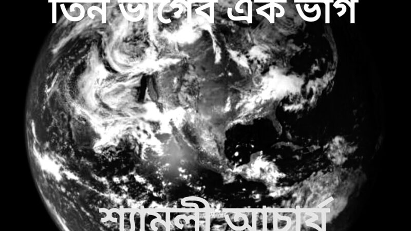 তিন ভাগের এক ভাগ পর্ব – চতুর্থ (শেষ পর্ব)