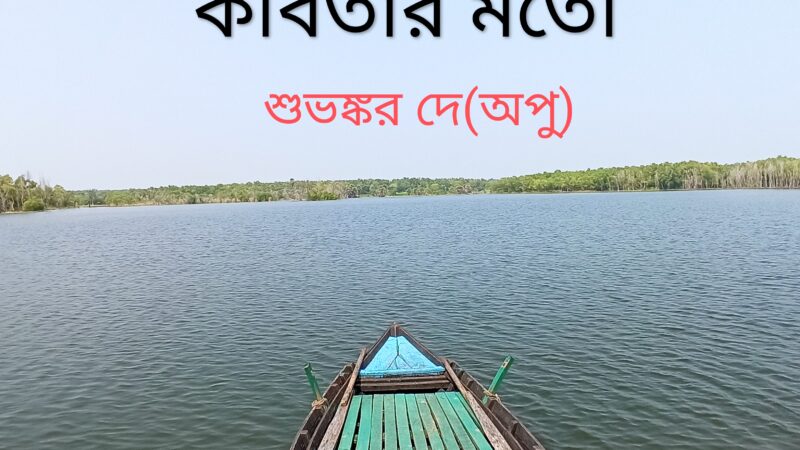কবিতার মতো
